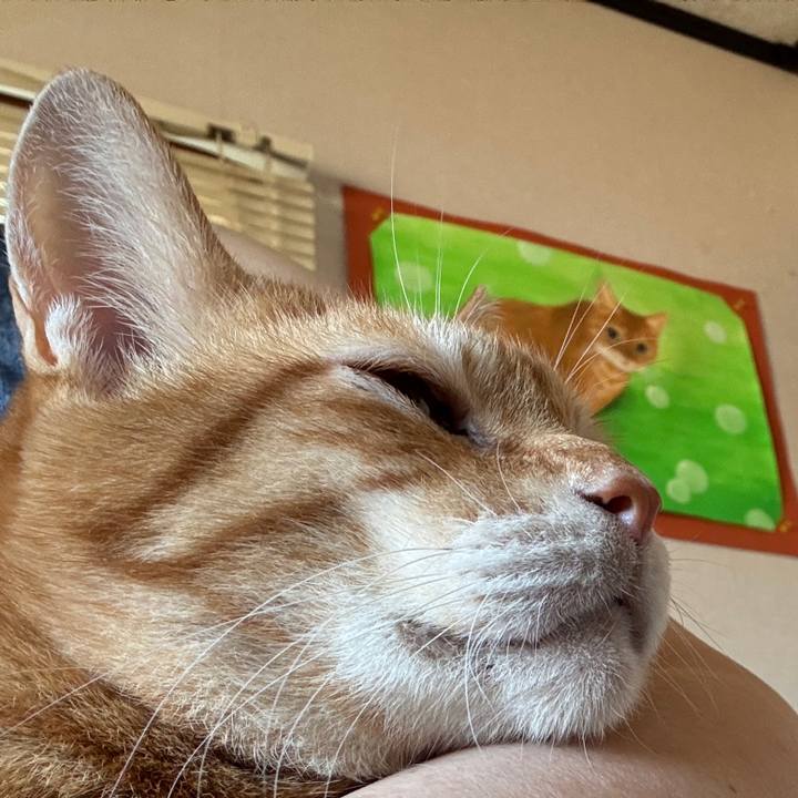 436168b8 1e71 4732 a18a b79fec38e32f 1759536243881