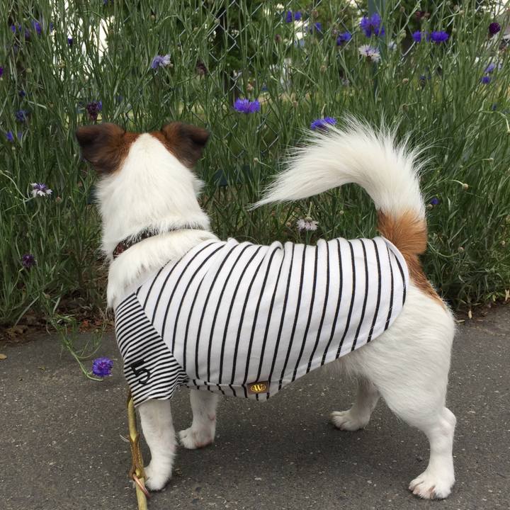 4361a523 f269 4401 9fd6 efe750ea8a67 1557395105522