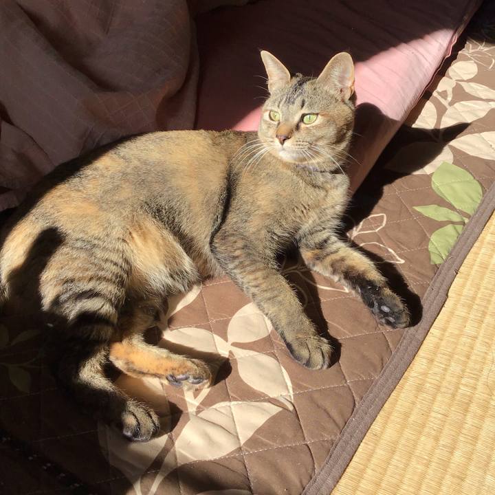 4361c679 1567 4fc4 8776 96b4a721a621 1587253865163