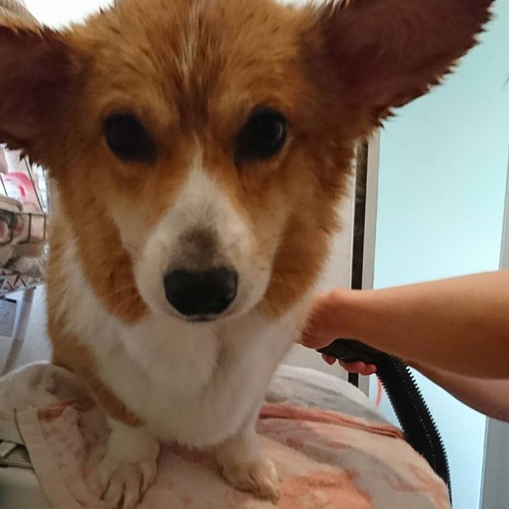 436201dd c600 46f4 a5dc 4bd5323c9311 1525321712324