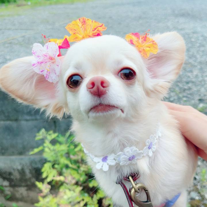 43620c0b ce28 41bc 8658 8f31b06cdc7a 1687951426413