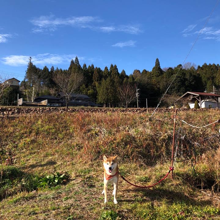 4362307d db8e 432d bc12 56af77ffc900 1544346336870