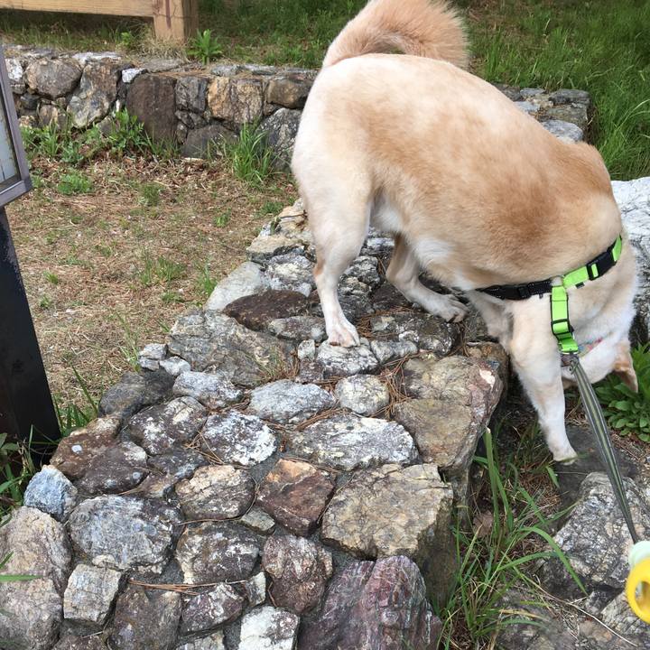 43623109 795b 44ae 9d61 8b518be97cd9 1523244459317