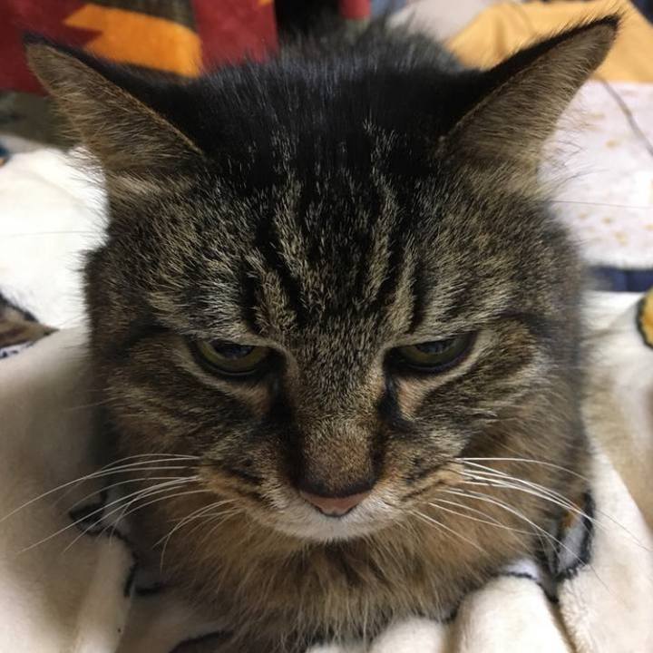 43625e46 2f88 4b33 a7fe 6dfd6affbe61 1769851406315