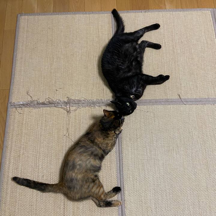 436264e9 9d31 4198 9aa5 db4522a989a5 1595343416767