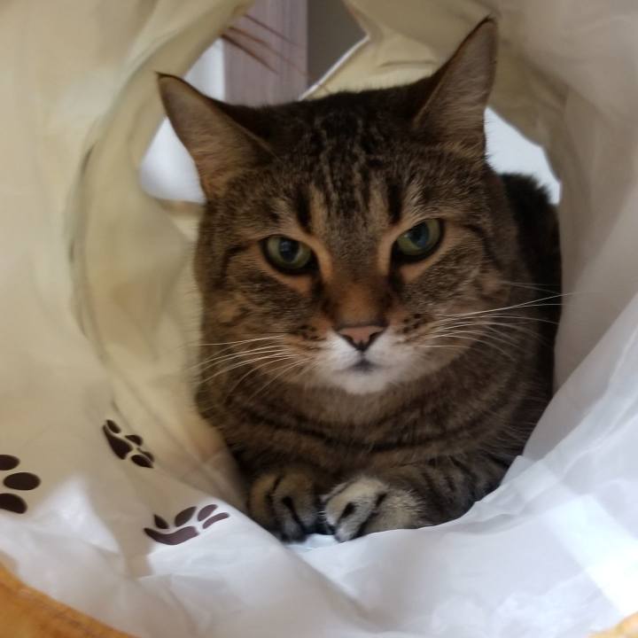 436278da 2f9c 47ef a347 c0277c955528 1594126451697