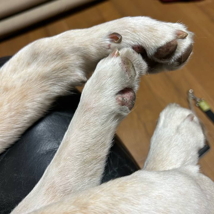 43629c6a 89d5 4bfe bcae 77c462550413 1705412863832