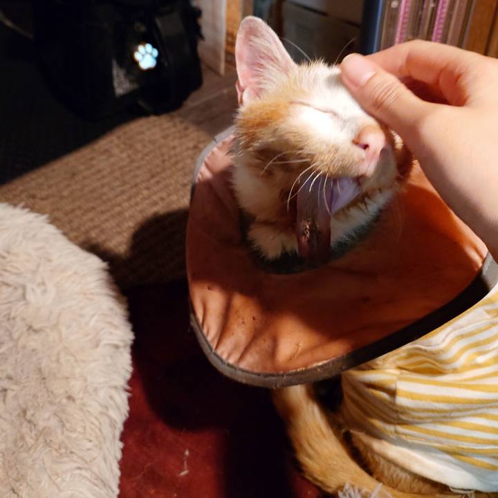 43629eff bd54 420a a958 0c91efb395f4 1761479268250