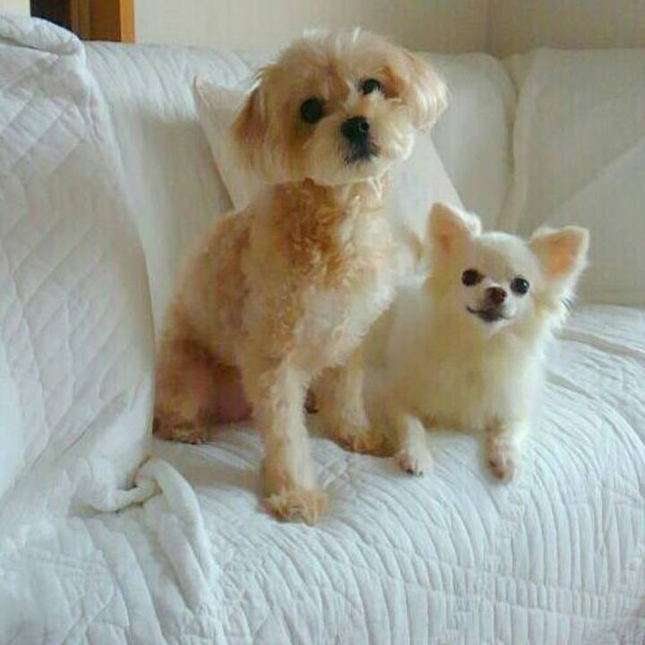 4362ecb3 9c97 4cd5 bc31 3157bd236572 1564741099463