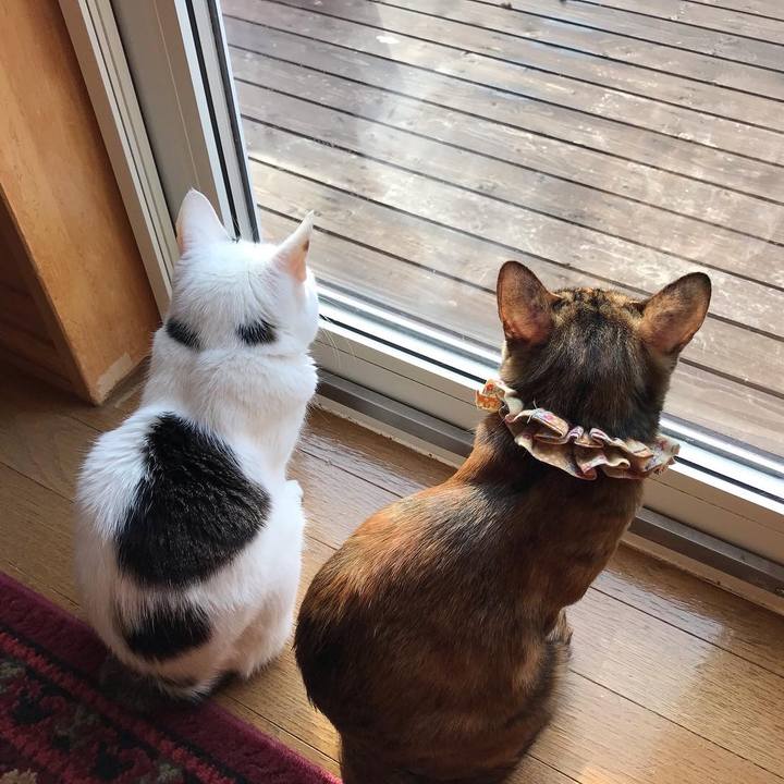 4362ef3a d35d 45d0 b12c b2b5648ccc15 1649197461995