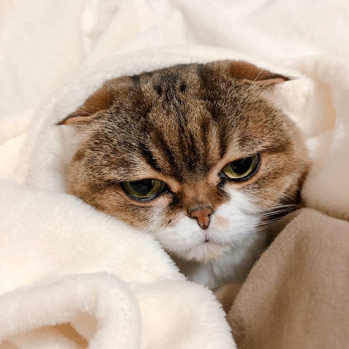 436308cd 85ec 43cf 891b 64ac94a69b1b 1583758457111