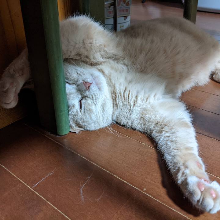 43631787 87a5 4200 b06f d14e88ccdd3a 1636365294286