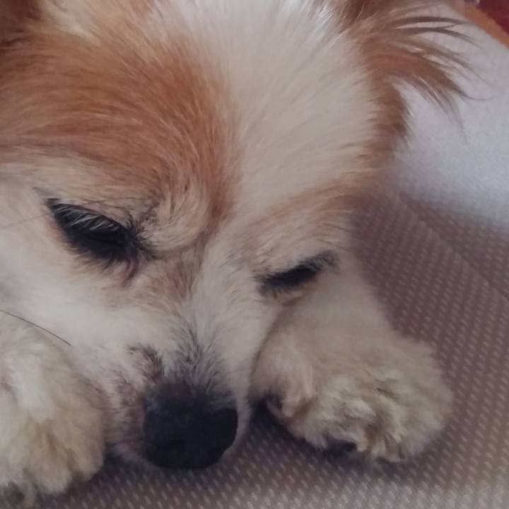 436333bf 7e20 472d 874f f74233309615 1590916038492