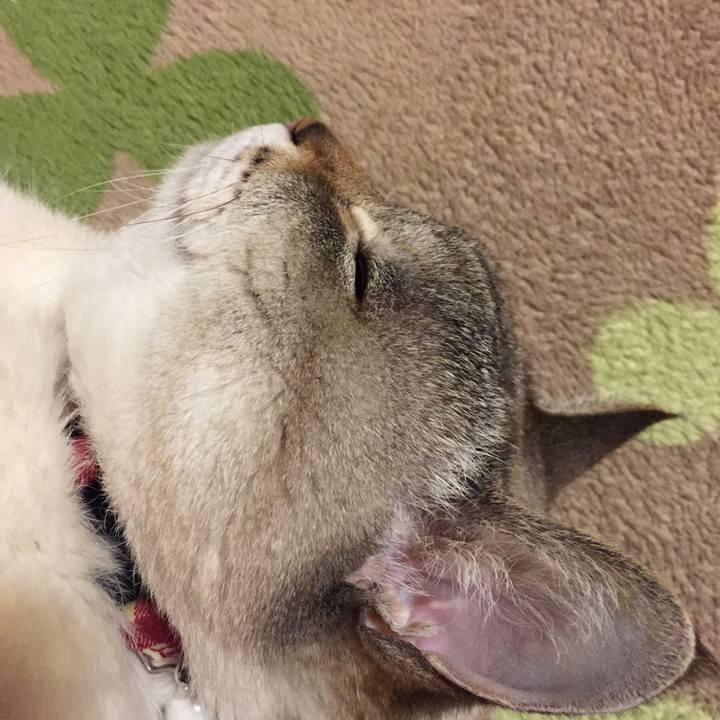 436386ce f5e1 40db 8805 f77e0f2a7d4f 1549452632692