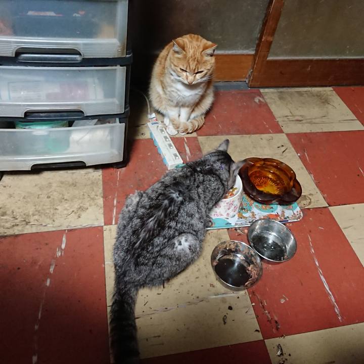 436396ef 9f74 4b69 b2df 34bcdc421cf9 1584825197624