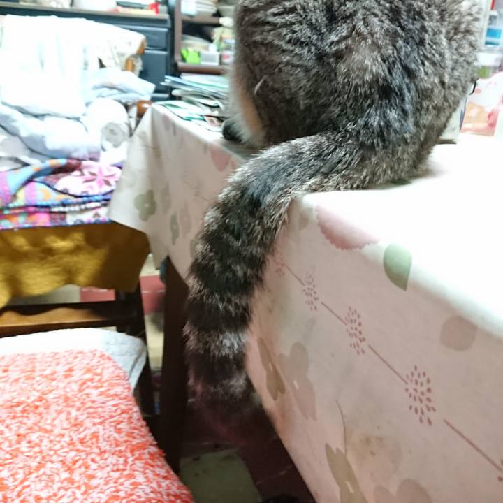 4363a83e 7c30 465b 83ff ebd0ad5ccbae 1562155423649