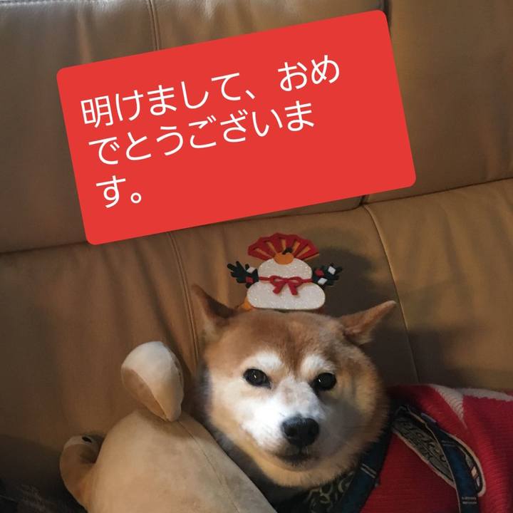 4363c52d c9ec 4c0b 9d2c ccf290aff85f 1546326639869