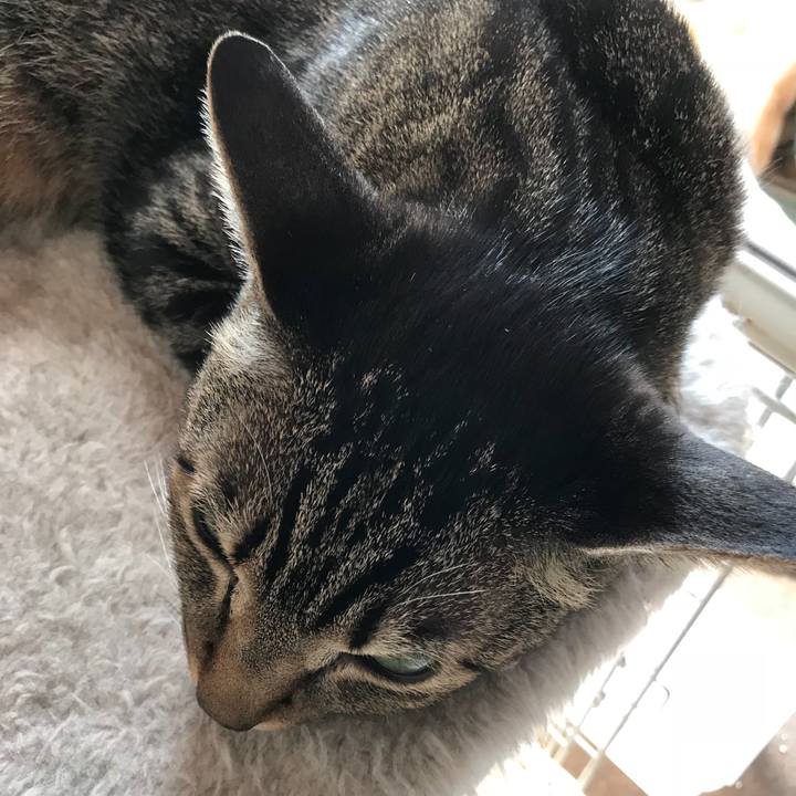 4363d42a 86e6 435c b6bc b2354dfb2386 1524964807625