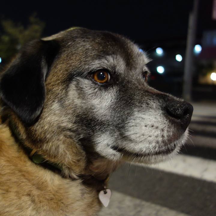 4363f4dd 153d 405e 9df9 6df9ccdd907d 1633394379686