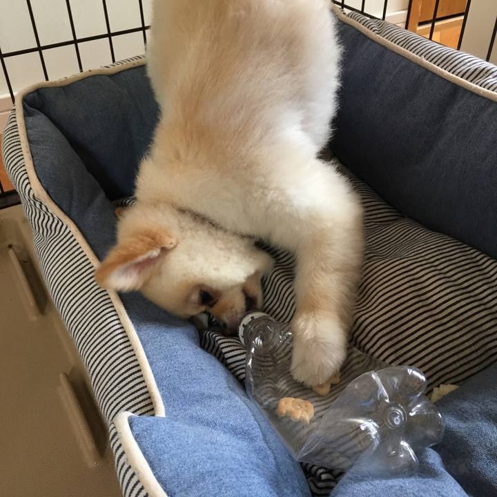 436405b1 8197 4ffe 816b 8fd1db7c8152 1529969139708