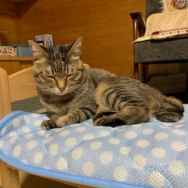 436422de f578 4ac6 99e5 f50a11eacd09 1559310865863