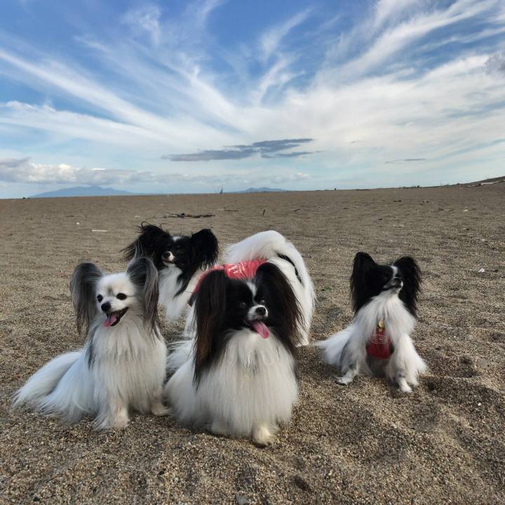 436449de 997b 438d 8dea d26357818ed6 1534712030100