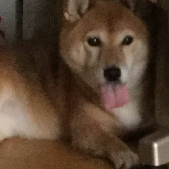 43646bb9 8402 494c a123 b66ad075114f 1563585523043