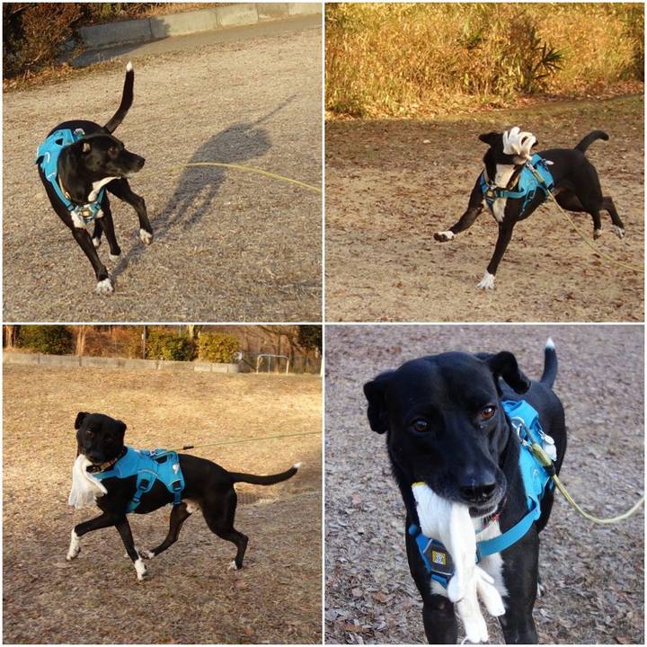 4364bc44 3949 4281 bdde cefc3b01f48b 1610758591699