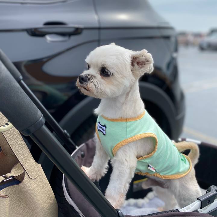 4364d34a e3bc 4fe1 adf7 f2e2a404dd32 1601803383892