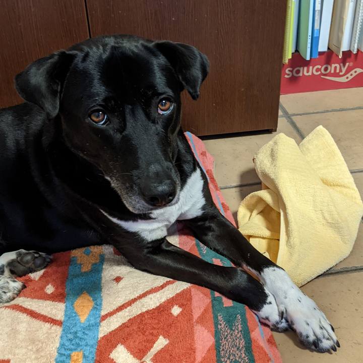 4364e730 955f 42a7 bbbd 9c563edd2d07 1651626365061