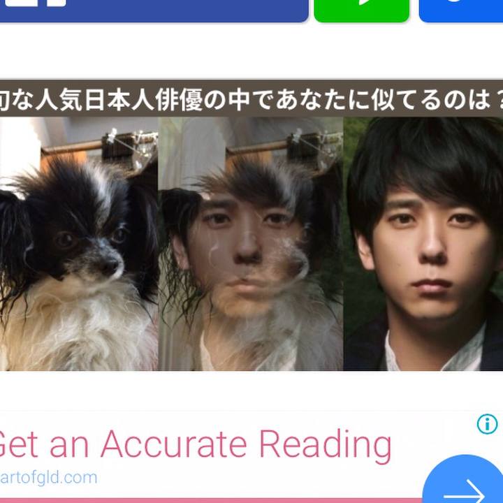 4364e848 05aa 49a2 95fe c282a0cd9946 1528455740154