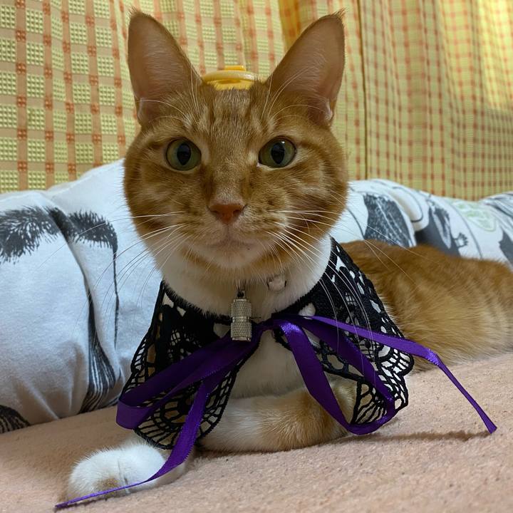 4365304c adfc 4a89 b5d0 44e0e3a284af 1667206724785