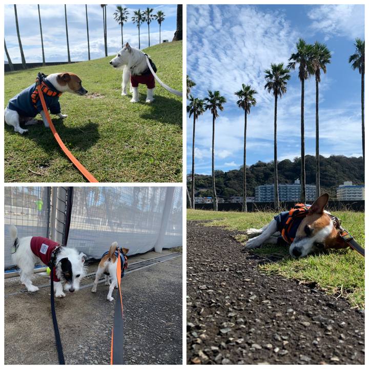 4365383c 0718 46bf a0f3 5632fd907fd2 1572053112470