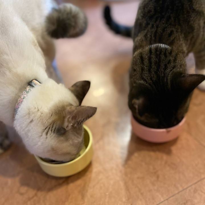 43653e2d fdf0 4cb5 896f 183e53f1de3d 1672580641265