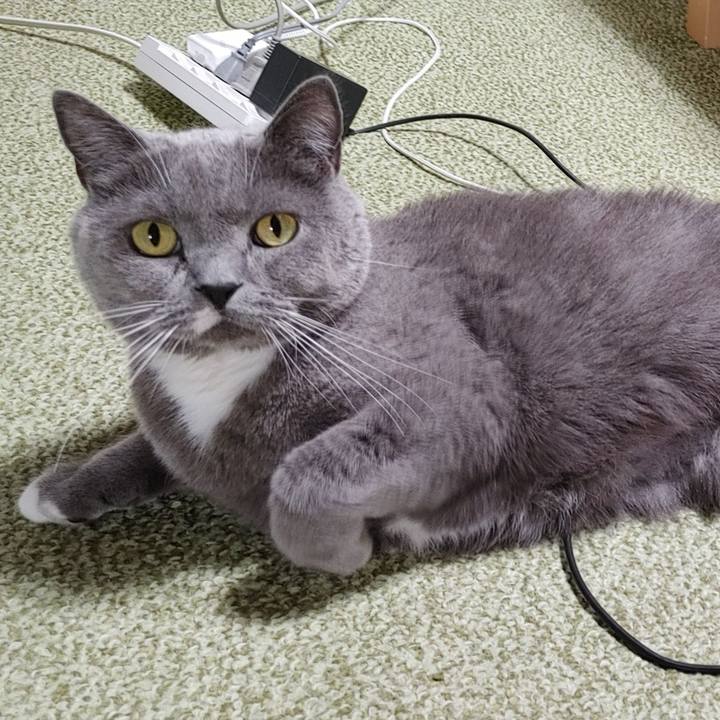 43653e73 3577 4c13 affc 7a0a37cadbae 1734873036186