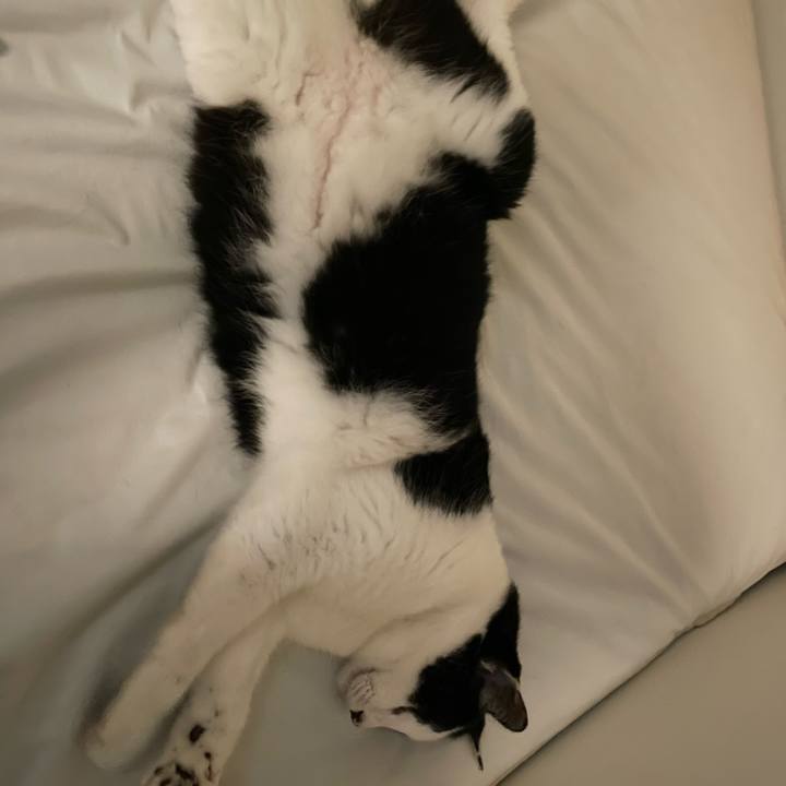 43656699 9b9a 4467 8c0f 1c90bd5b3082 1750061579260