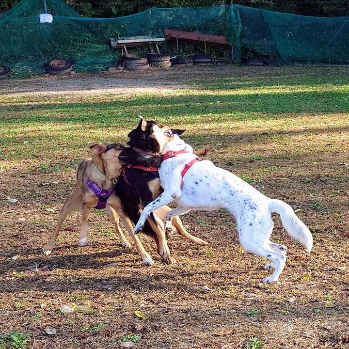 436585cc 7030 4479 8aba a497f1360f31 1730681711168