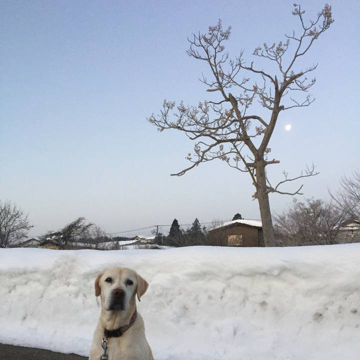 4365870e cf37 48c0 97e8 a579ad03bd8b 1517608664930