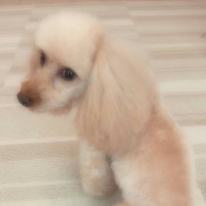 436598b8 3653 441c 8dab f25d07aece91 1550895433150