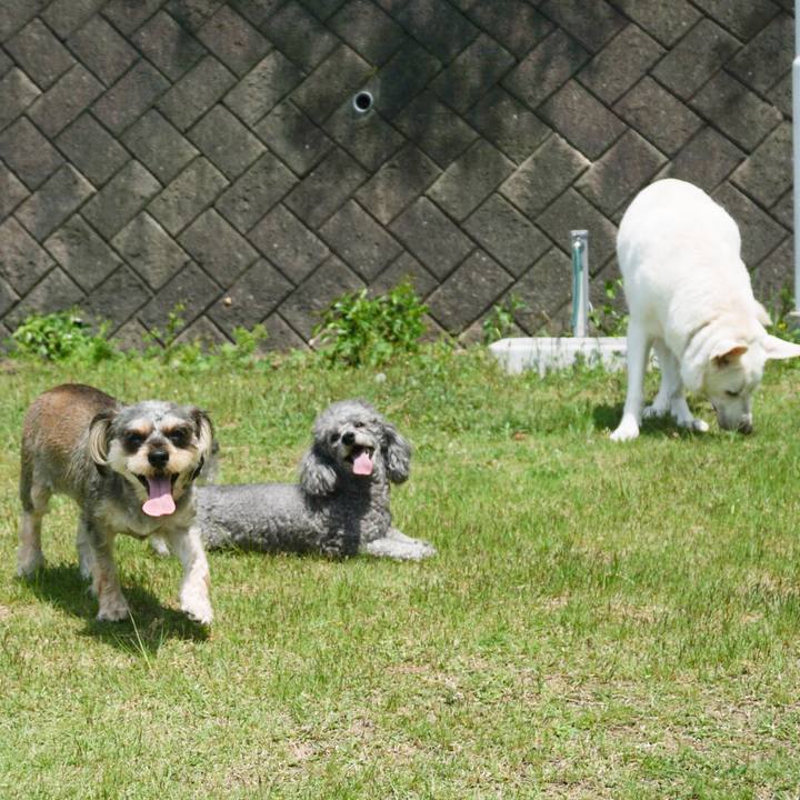 4365c099 31f2 4fa0 b3d7 949716671b12 1525669974102