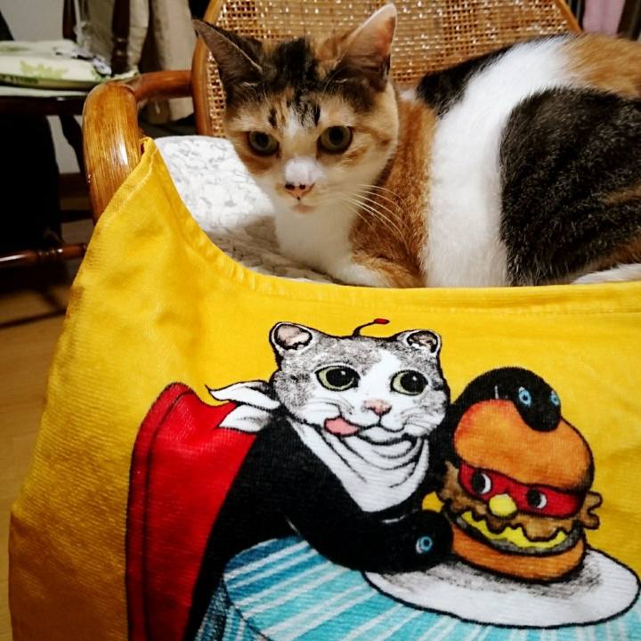 4365ca25 5f04 4158 b7d8 0d3fd6ddfcb7 1566389646741