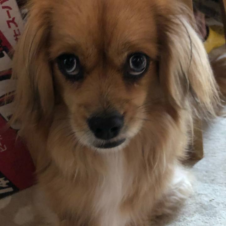 4365e9fc d3ea 4db0 848b 82cbb3f05ff7 1552256693399