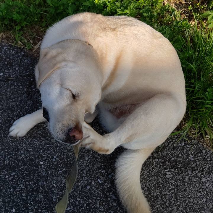 4365ed7f 54d5 4d6a 8f08 63a5299254ca 1596698484113