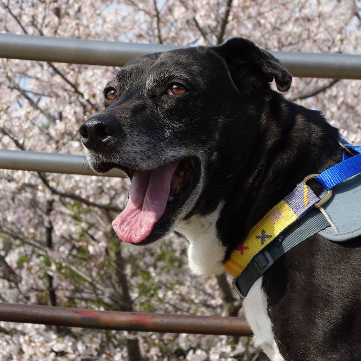 4365f7f1 200a 4652 9a45 1f6150110e11 1744073681665