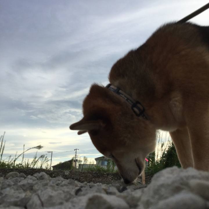 4366173e 94d1 42df a63e 6a150f219e54 1599564305770