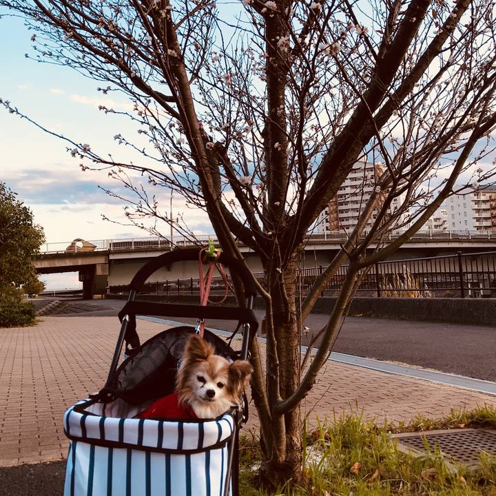 43662ab5 b02b 4565 ba9a 030f5b3ee86b 1510820472711