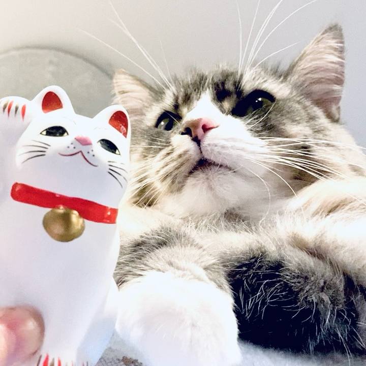 4366f3d2 45cf 4627 aa58 8d13f9a4cdbf 1758468496464