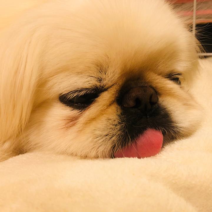 4366ff2f 32ad 4fba 8d84 e1299002c50b 1617198813987