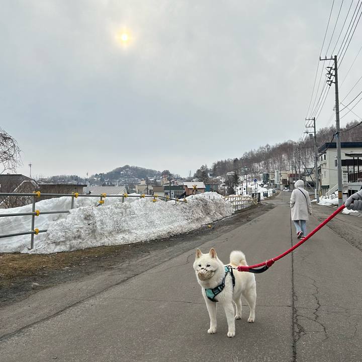 436715f6 d6d8 446f b334 f36b5f8a17c9 1743891343926