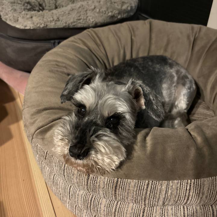 43672163 c582 47de aab9 54efc3371e0d 1713487681624